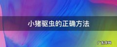 小猪驱虫的正确方法 猪驱虫注意事项