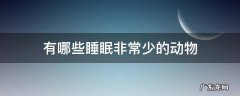 哪种动物睡眠最少 有哪些睡眠非常少的动物