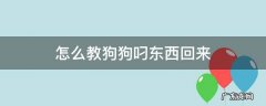 怎么教狗狗叼东西回来 怎么让狗狗叼东西