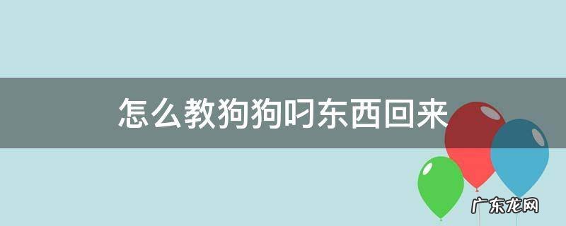 怎么教狗狗叼东西回来 怎么让狗狗叼东西