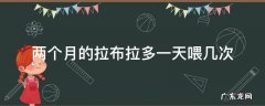 两个月的拉布拉多一天喂几次 两个月的拉布拉多一天喂几次水