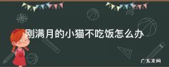 刚满月的小猫不会吃饭怎么办 刚满月的小猫不吃饭怎么办
