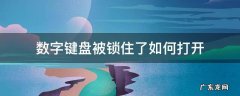 数字键盘被锁住了如何打开 键盘数字锁住了怎么解开