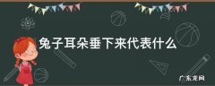 兔子的耳朵垂下来是什么意思 兔子耳朵垂下来代表什么