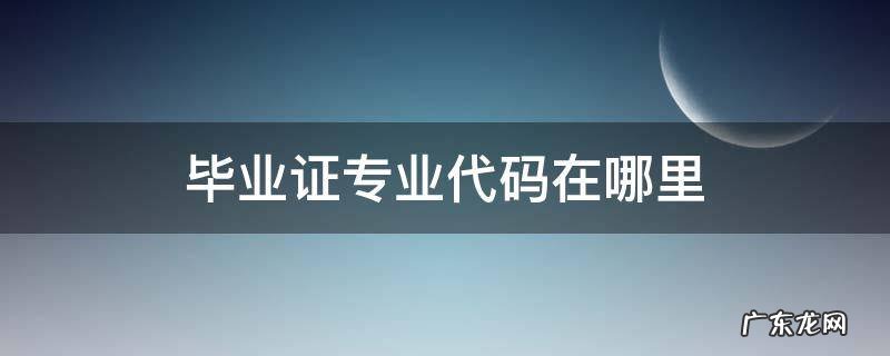 怎么看毕业证上的专业代码 毕业证专业代码在哪里