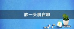 肱一头肌是什么 肱一头肌在哪
