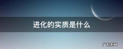 生物进化的实质是什么 进化的实质是什么