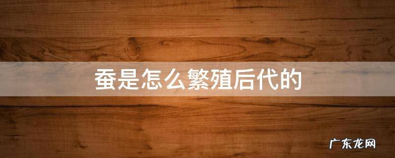 蚕是怎么繁殖后代的视频 蚕是怎么繁殖后代的
