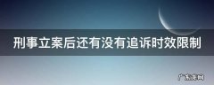 刑事立案后还有没有追诉时效限制呢 刑事立案后还有没有追诉时效限制