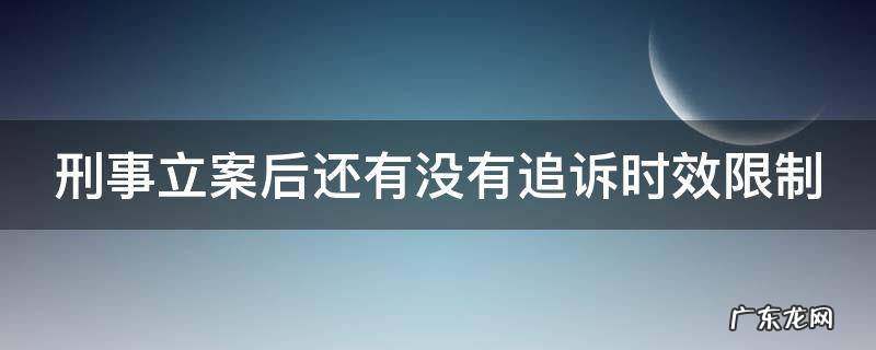 刑事立案后还有没有追诉时效限制呢 刑事立案后还有没有追诉时效限制