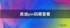 奥迪pin码哪里看 奥迪pin码哪里看四位