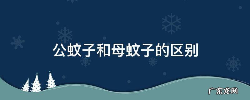 公蚊子和母蚊子的区别? 公蚊子和母蚊子的区别