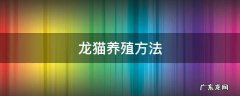龙猫养殖方法 龙猫的养殖方法和注意事项