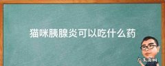 猫咪胰腺炎可以吃什么药 猫咪胰腺炎吃什么药管用