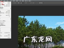 抛物线中的p是什么