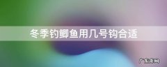 冬天钓鲫鱼用几号鱼钩 冬季钓鲫鱼用几号钩合适