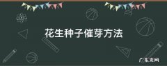 花生种子催芽方法 花生种子发芽步骤