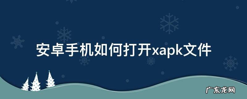 安卓手机如何打开.xapk文件 手机怎么打开xapk