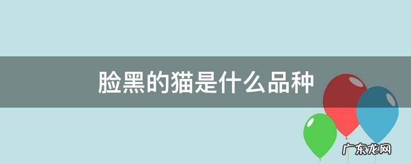 猫咪黑脸是什么品种 脸黑的猫是什么品种
