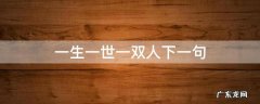 一生一世一双人下一句是什么意思 一生一世一双人下一句