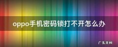 oppo手机密码锁打不开怎么办 oppo手机忘记密码开不了锁怎么办