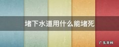 堵下水管用什么能堵死 堵下水道用什么能堵死