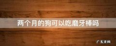 两个多月的狗可以吃磨牙棒吗 两个月的狗可以吃磨牙棒吗