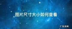图片尺寸大小怎么查看 图片尺寸大小如何查看