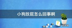 狗狗放屁了是什么情况 小狗放屁怎么回事啊
