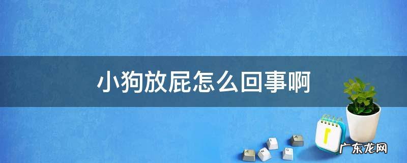 狗狗放屁了是什么情况 小狗放屁怎么回事啊