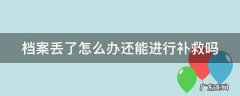 档案丢了怎么办还能进行补救吗