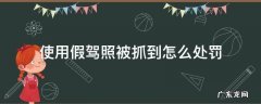 使用假驾照被抓到怎么处罚 使用假驾驶证被拘留