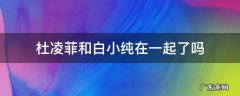 杜凌菲和白小纯在一起了吗 杜凌菲为什么不跟白小纯在一起