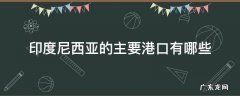 印度尼西亚的主要港口有哪些 印度主要港口,印度港口有哪些