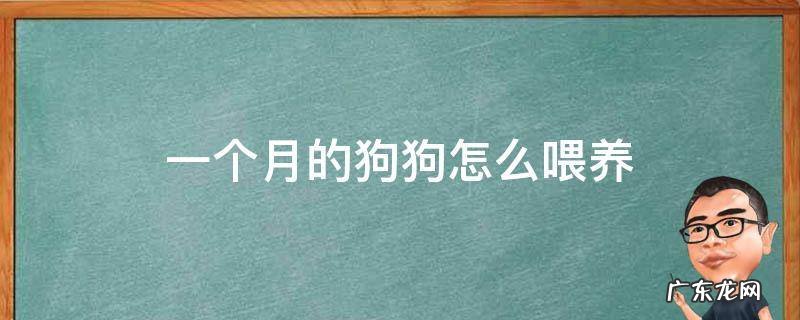 一个月的狗如何喂养 一个月的狗狗怎么喂养