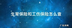 生育保险和工伤保险怎么查 工伤保险与生育保险怎么查