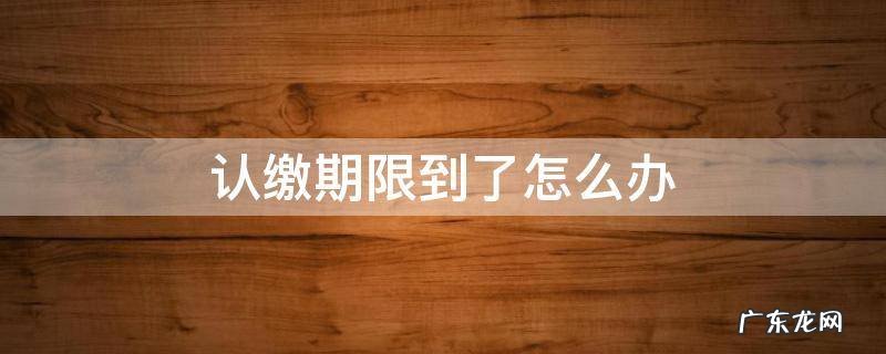 认缴期限到了怎么办 认缴日期到了怎么办