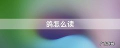 鸽哨怎么读 鸽怎么读