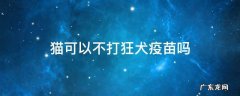 猫能不打狂犬疫苗吗 猫可以不打狂犬疫苗吗