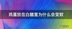 鸡蛋放在白醋里为什么会变软 鸡蛋放在白醋里为什么会变软变弹