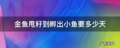 金鱼甩籽到孵出小鱼要多少天 金鱼甩籽要几个小时才能甩完