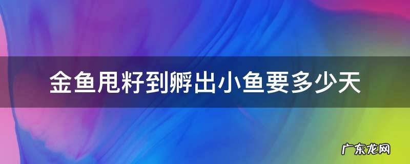 金鱼甩籽到孵出小鱼要多少天 金鱼甩籽要几个小时才能甩完