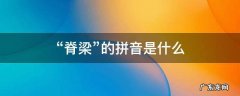 脊梁还是脊梁的拼音 “脊梁”的拼音是什么
