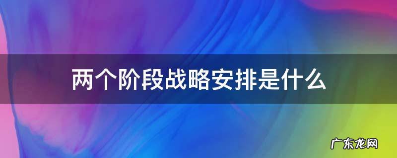 两个阶段战略安排是什么 两个阶段战略安排指的是什么