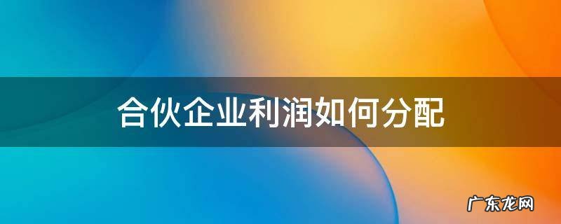 合伙企业利润如何分配 合伙企业的利润分配