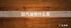 加汽油用什么泵 打汽油用什么泵