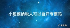 小规模纳税人可以自开专票吗 小规模纳税人可以自开专票吗?