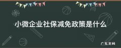 小微企业减免企业部分社保的政策 小微企业社保减免政策是什么
