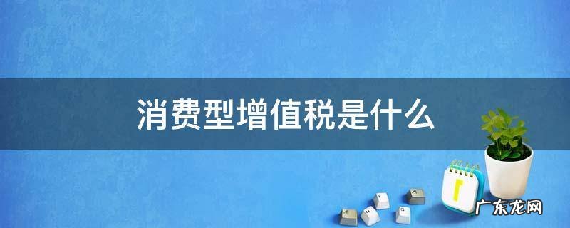 消费型增值税和消费税 消费型增值税是什么