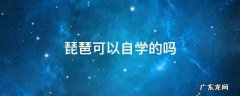 琵琶可以自学的吗 琵琶好不好学(自学